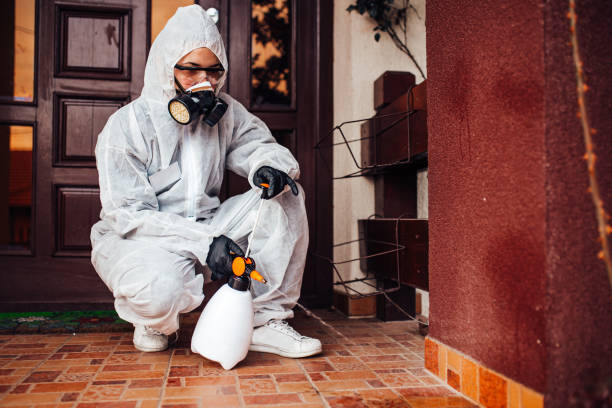 Reliable Cockroach Control contractor in Porters Neck, NC by Nex Pest Control